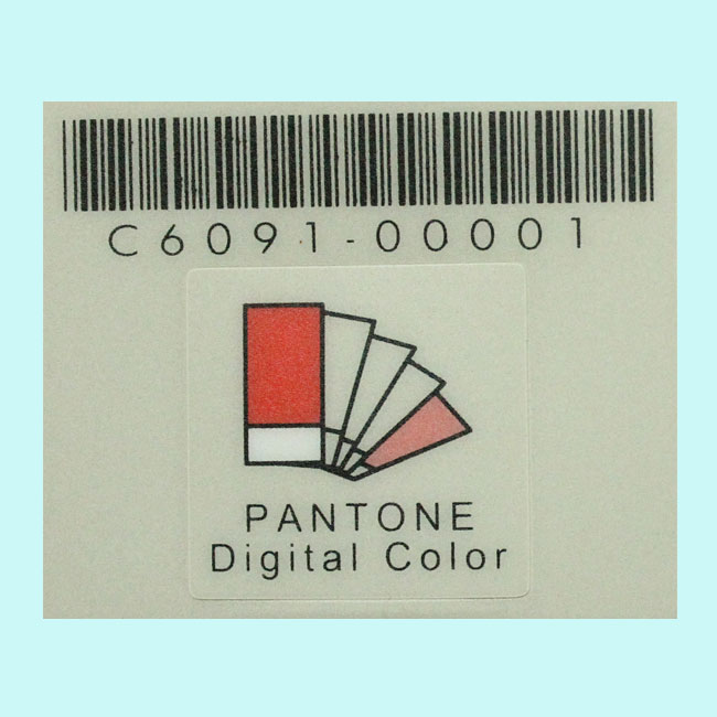 Electronic product label